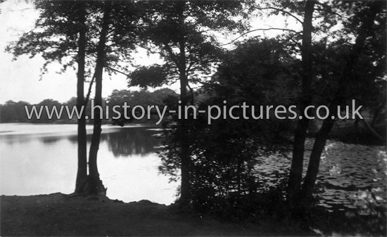 The Lake, Highams Park, London. c.1916.